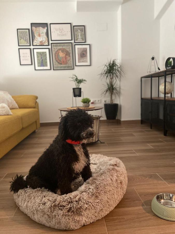 Las Casas De Lola Candeleda Esterno foto