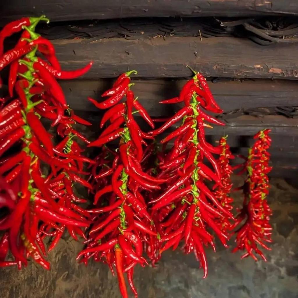 Las Casas De Lola Candeleda Esterno foto